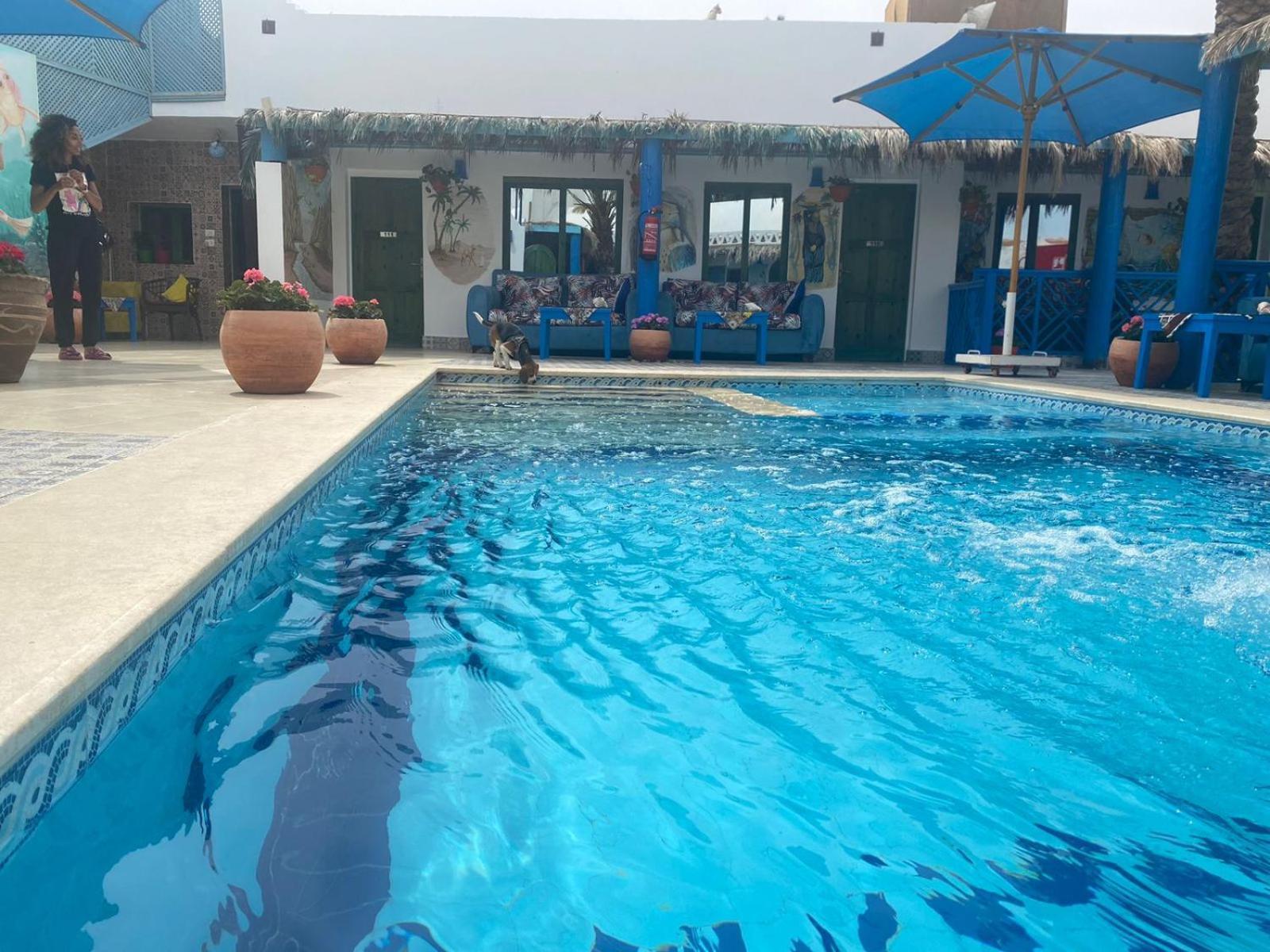 Hotel Chillax Dahab Extérieur photo